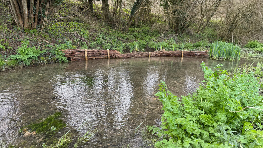 IMG_5878